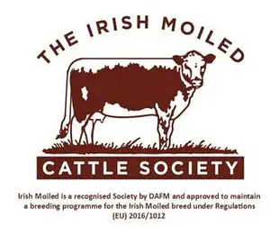 Irish Moiled Cattle Society