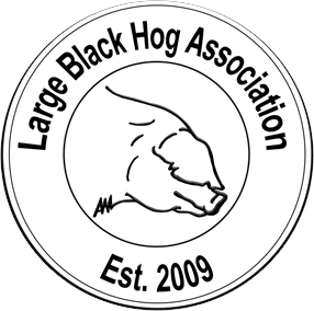 Large Black Hog Association