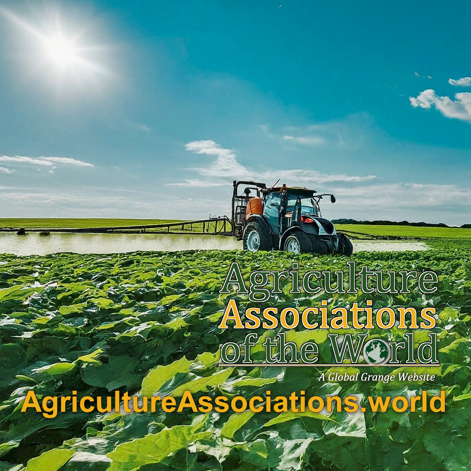 Supporting Agricultural Associations